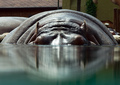 Hippo... The Other Submarine!