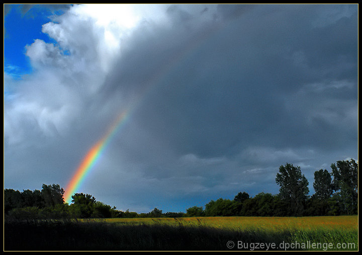 In Between Rains