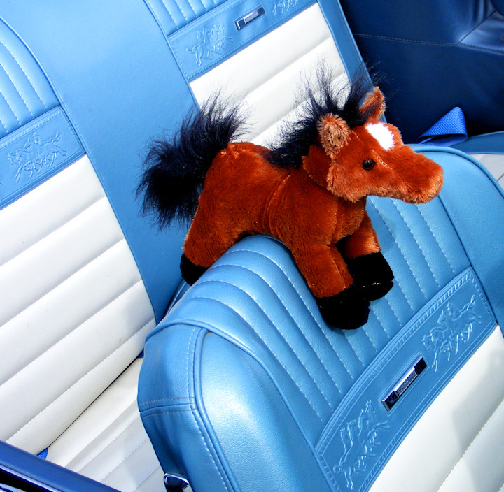 Mustangs