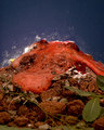 Chemical Reaction