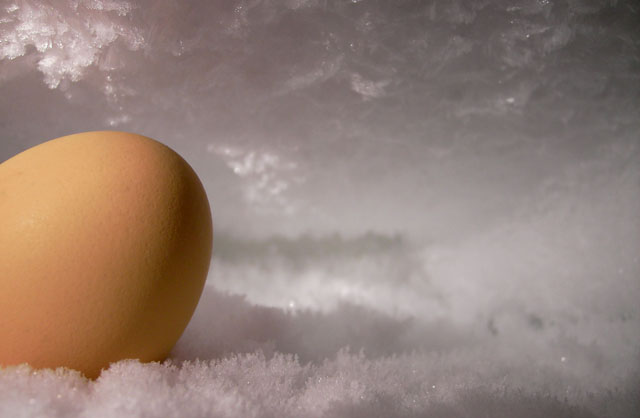 egg on ice