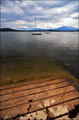 The Lake