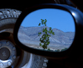 Nature versus Machine