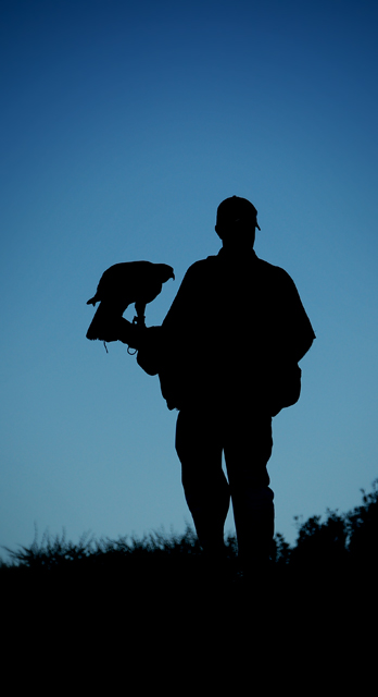 as one - a falconer and his eagle