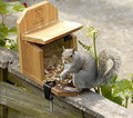 oh no, he is stealing my nuts!