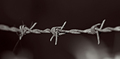 Line of wire