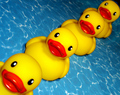 Get Your Ducks In A Row