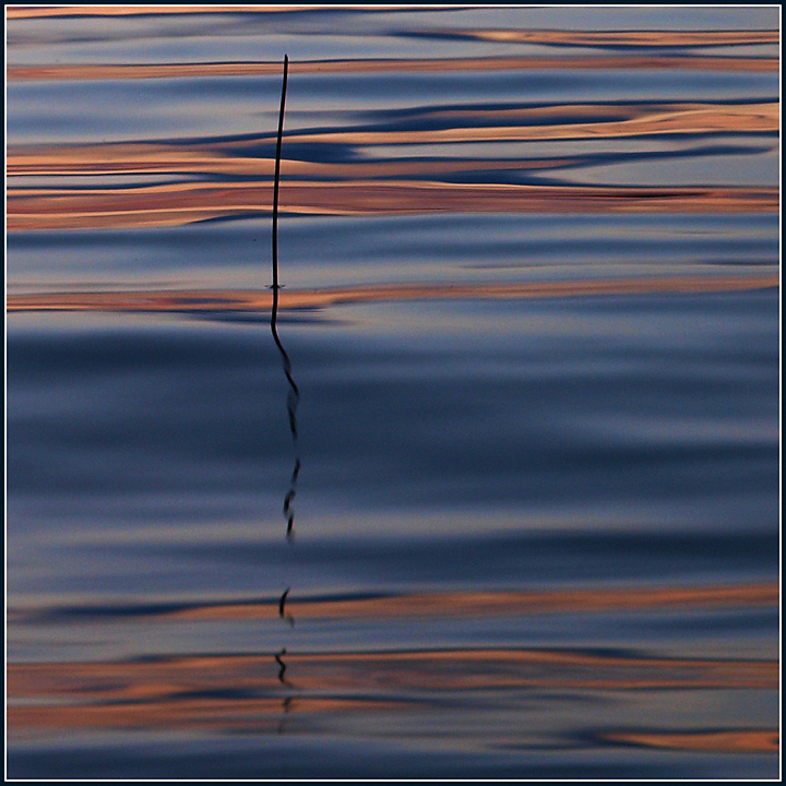 Rippled Silence