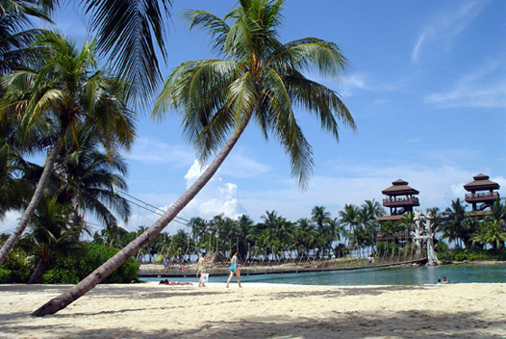 Sand,Sea & Coconut Trees