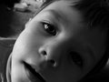 Innocence