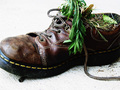 Earth Shoes