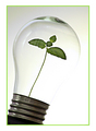 Green ideas for a brighter tomorrow