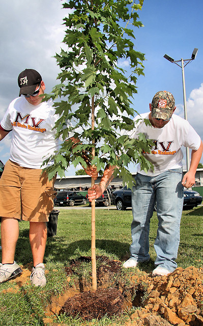 Minnesota 4H donates a Sugar Maple Tree to Virginia 4H