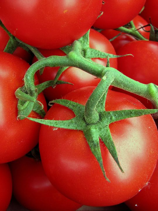 Buy Local - Farmers' Market