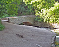 A Walk in the Park