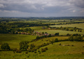 Fields of Green