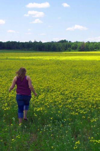 Joy of the fields