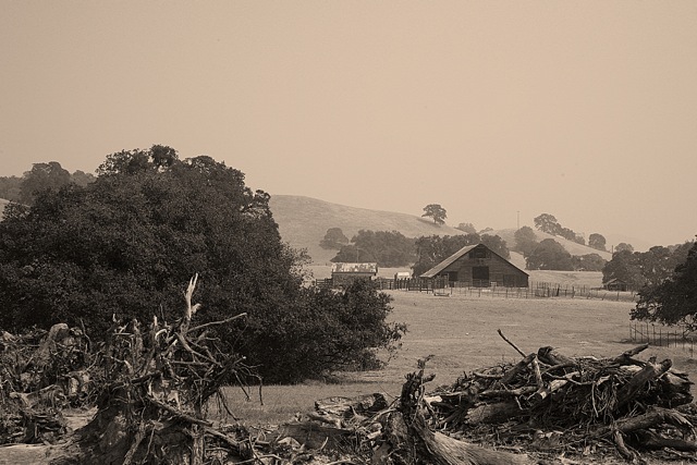 Old Farm House