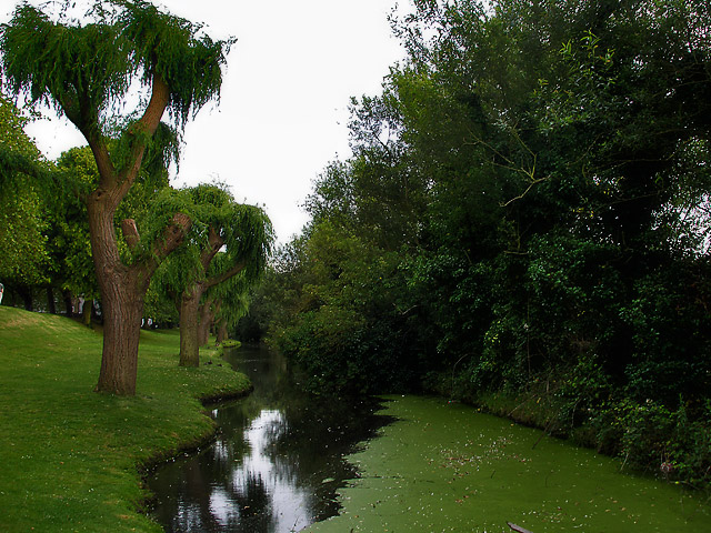 Rural Green