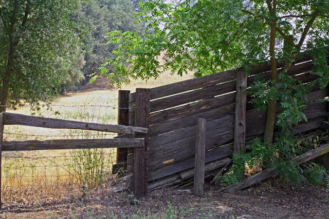 Old Fence