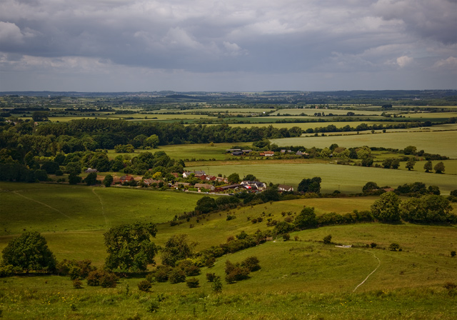 Fields of Green