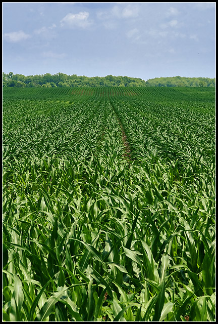 I can see for miles...and .... miles