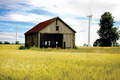The Forgotten Farm