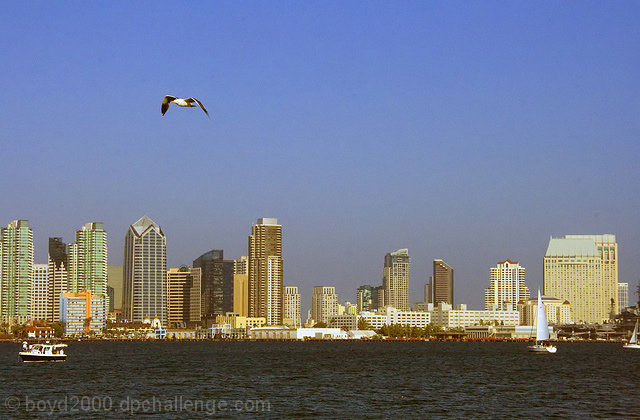 Bird's Eye View of the Skyline