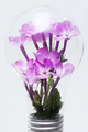 Flower Power