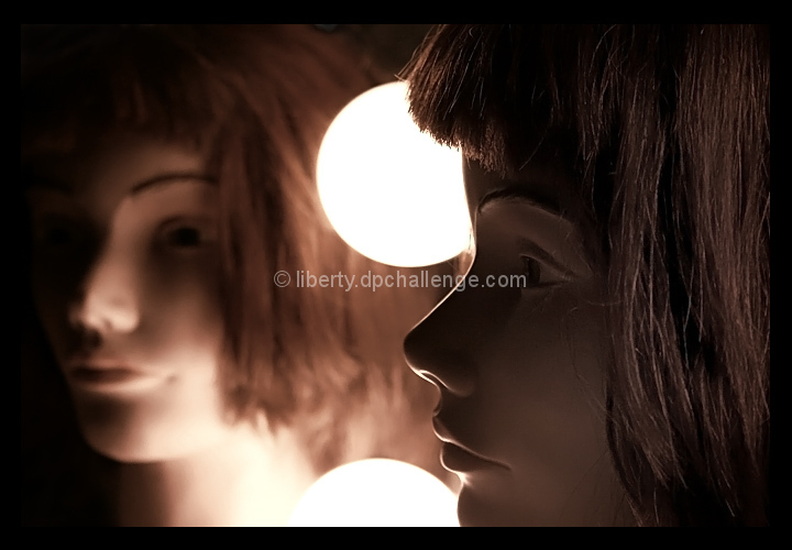 Bulbs Between Us