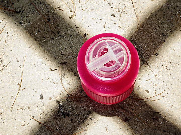 Neon Pink Water Bottle