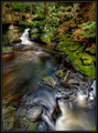 Whirlpool