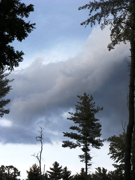 The Calm