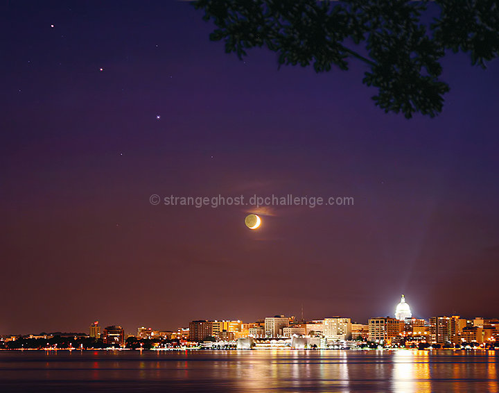 A pretty lineup - July 5, 2008