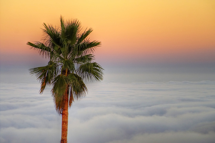 Malibu Mountaintop View