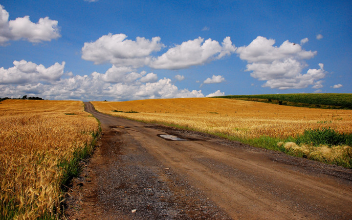 Gold in d'em d'ere hills