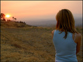 sun-set shoulders
