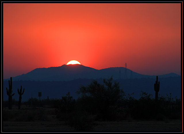 Desert Night