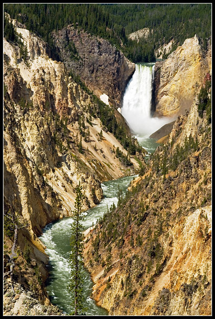 Lower Falls at Yellowstone