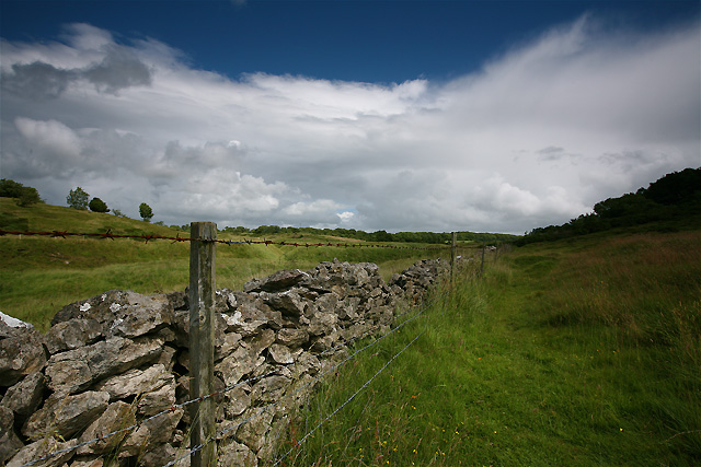 Vanishing Point