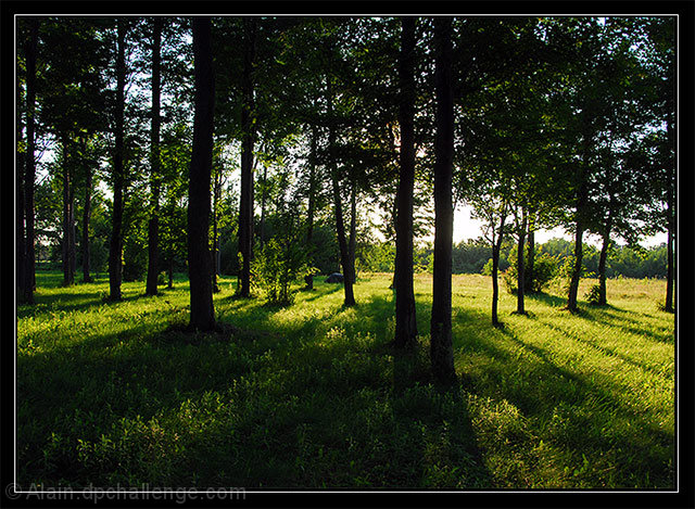 Lights & Shadows