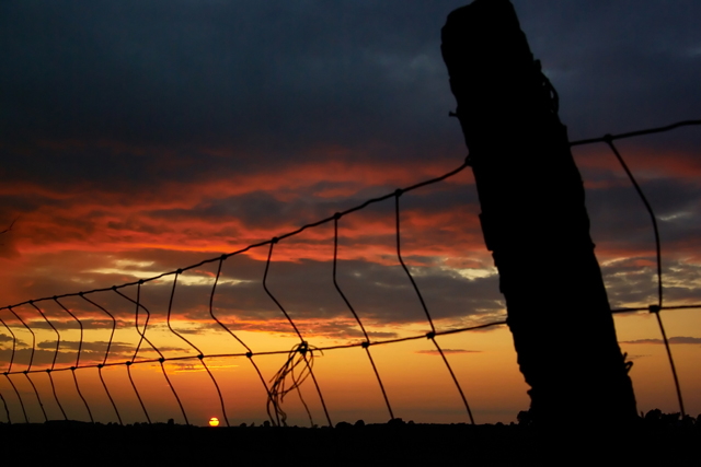 Sunset on the Farm