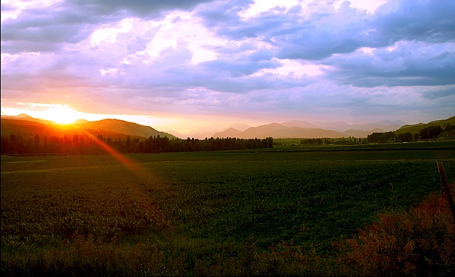 Sunset over the Fields