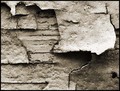 Peeling Paint #4