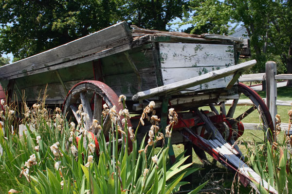 Weathered Apple Cart