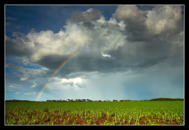 Rewarded After We Weathered The Storm