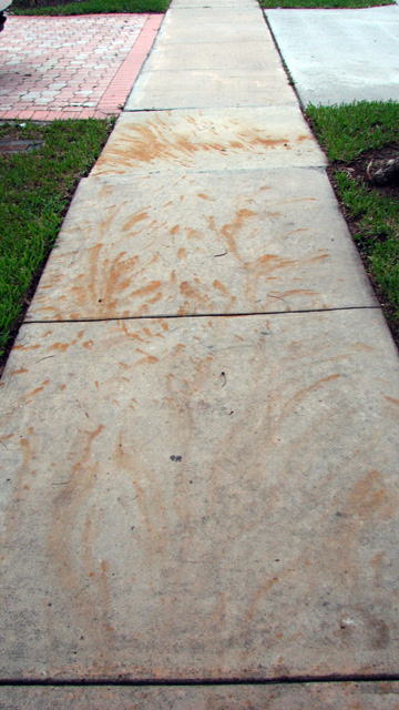 fireworks on the sidewalk