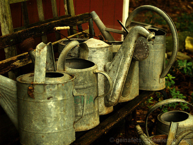 Wary Watering Cans