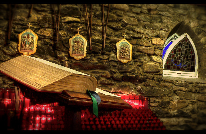 Doctus Cum Libro (Scholar By The Book)