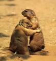 Hold Me